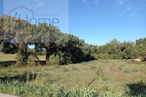Helårsgrund i Tomar, Santarem, Tomar - € 16.500 | Ref: P4HSÒL_102 - foto 7
