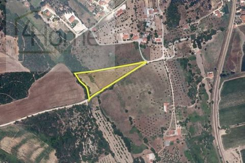 Helårsgrund i Tomar, Santarem, Tomar - € 16.500 | Ref: P4HSÒL_102 - foto 8