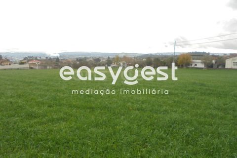 Helårsgrund i Tomar, Santarem, Tomar - € 60.000 | Ref: TM86293 - foto 1