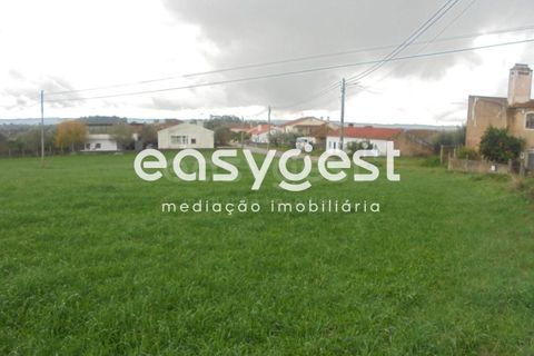Helårsgrund i Tomar, Santarem, Tomar - € 60.000 | Ref: TM86293 - foto 2