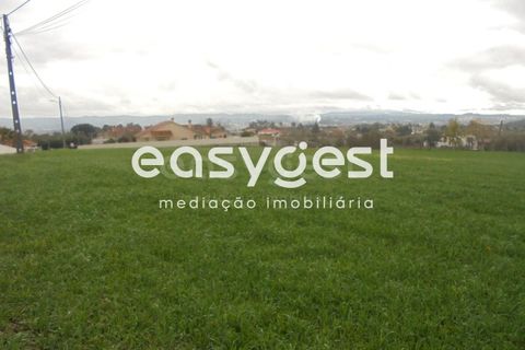 Helårsgrund i Tomar, Santarem, Tomar - € 60.000 | Ref: TM86293 - foto 3