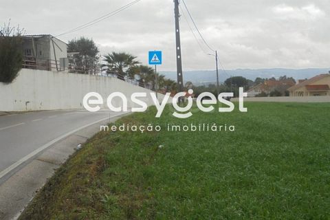 Helårsgrund i Tomar, Santarem, Tomar - € 60.000 | Ref: TM86293 - foto 4