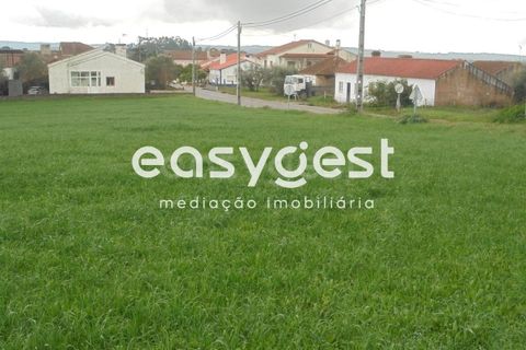 Helårsgrund i Tomar, Santarem, Tomar - € 60.000 | Ref: TM86293 - foto 5