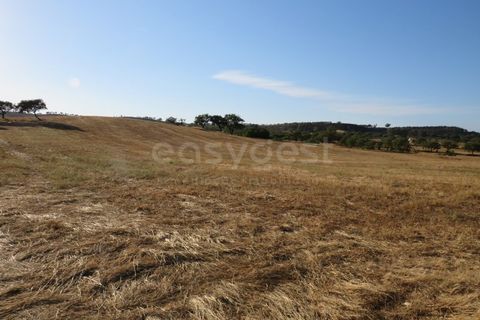 Helårsgrund i Ourique, Beja, Ourique - € 79.000 | Ref: BJ86194 - foto 1
