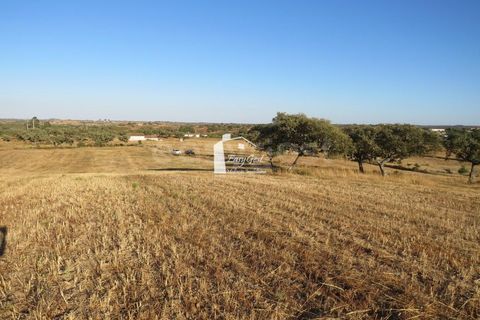 Helårsgrund i Ourique, Beja, Ourique - € 79.000 | Ref: BJ86194 - foto 2