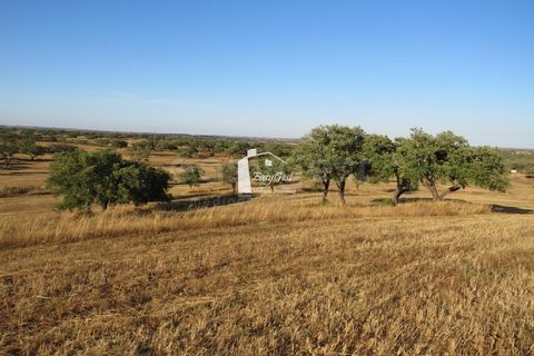 Helårsgrund i Ourique, Beja, Ourique - € 79.000 | Ref: BJ86194 - foto 5