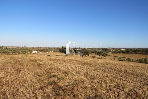 Helårsgrund i Ourique, Beja, Ourique - € 79.000 | Ref: BJ86194 - foto 6