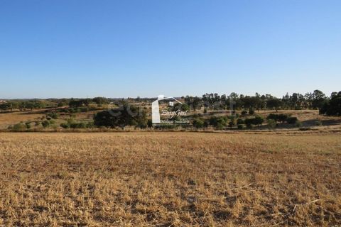 Helårsgrund i Ourique, Beja, Ourique - € 79.000 | Ref: BJ86194 - foto 7