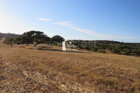 Helårsgrund i Ourique, Beja, Ourique - € 79.000 | Ref: BJ86194 - foto 8