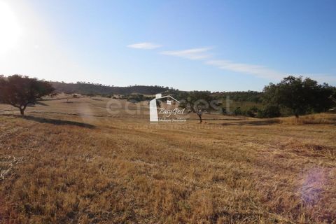 Helårsgrund i Ourique, Beja, Ourique - € 79.000 | Ref: BJ86194 - foto 9