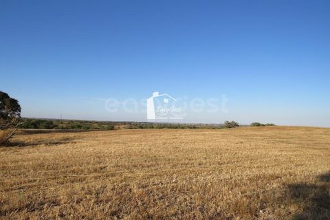 Helårsgrund i Ourique, Beja, Ourique - € 79.000 | Ref: BJ86194 - foto 10