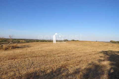 Helårsgrund i Ourique, Beja, Ourique - € 79.000 | Ref: BJ86194 - foto 11