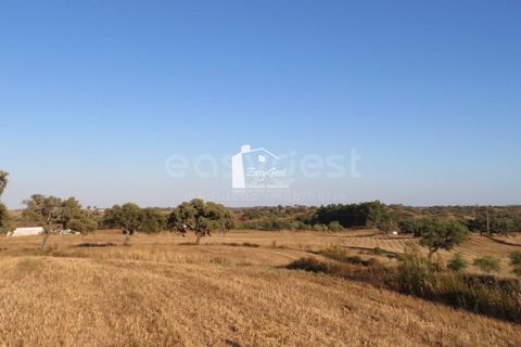 Helårsgrund i Ourique, Beja, Ourique - € 79.000 | Ref: BJ86194 - foto 14
