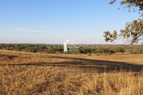 Helårsgrund i Ourique, Beja, Ourique - € 79.000 | Ref: BJ86194 - foto 15