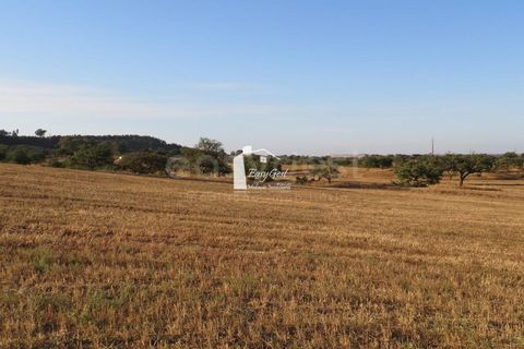 Helårsgrund i Ourique, Beja, Ourique - € 79.000 | Ref: BJ86194 - foto 16