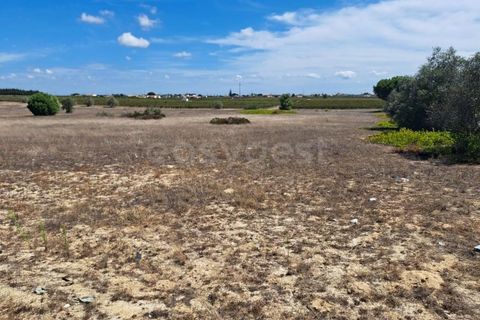 Helårsgrund i Palmela, Setubal, Palmela - € 350.000 | Ref: ST86288AC - foto 2