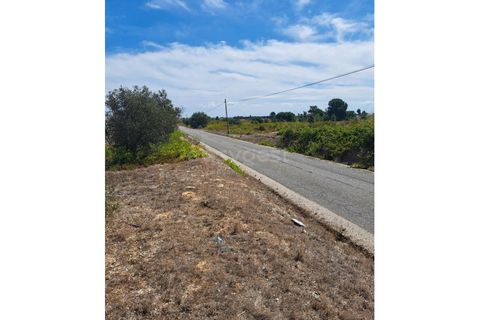 Helårsgrund i Palmela, Setubal, Palmela - € 350.000 | Ref: ST86288AC - foto 3