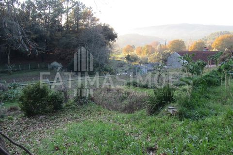 Helårsgrund i Caminha, Viana do Castelo, Caminha - € 70.000 | Ref: 877 - foto 2