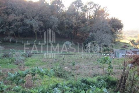Helårsgrund i Caminha, Viana do Castelo, Caminha - € 70.000 | Ref: 877 - foto 3