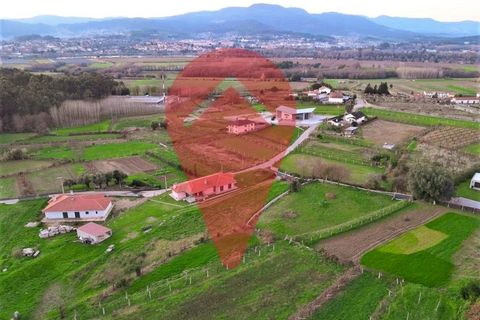 Tomt i Ganfei, Viana do Castelo, Ganfei - € 39 000 | Ref: TER_120 - foto 3