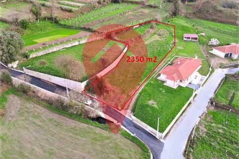 Tomt i Ganfei, Viana do Castelo, Ganfei - € 39 000 | Ref: TER_120 - foto 5