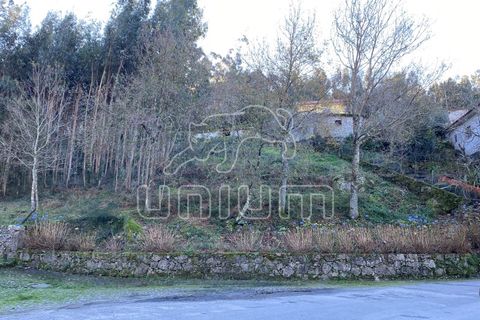 Helårsgrund i Viana do Castelo, Viana do Castelo, Viana do Castelo - € 60.000 | Ref: R3858 - foto 3