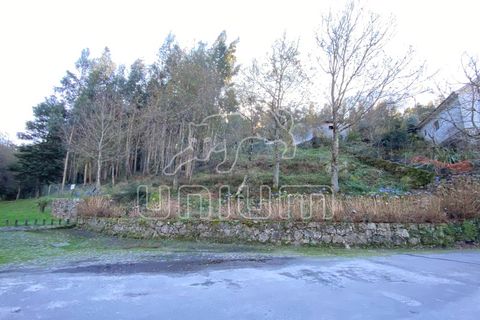 Helårsgrund i Viana do Castelo, Viana do Castelo, Viana do Castelo - € 60.000 | Ref: R3858 - foto 4