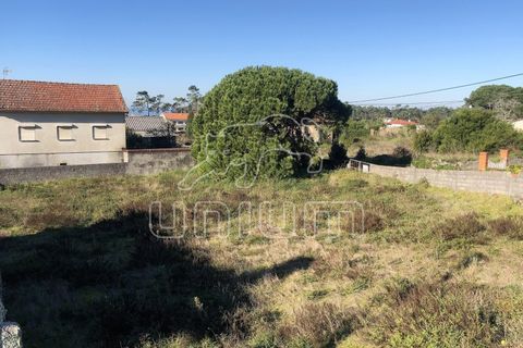 Helårsgrund i Viana do Castelo, Viana do Castelo, Viana do Castelo - € 132.500 | Ref: R3848 - foto 3