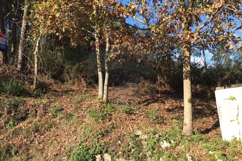 Helårsgrund i Arcos de Valdevez, Viana do Castelo, Arcos de Valdevez - € 9.000 | Ref: 126371008-10 - foto 2
