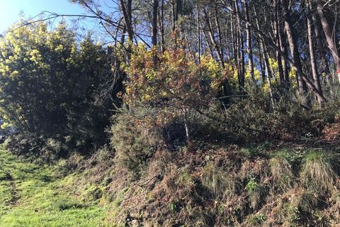 Helårsgrund i Arcos de Valdevez, Viana do Castelo, Arcos de Valdevez - € 9.000 | Ref: 126371008-10 - foto 3