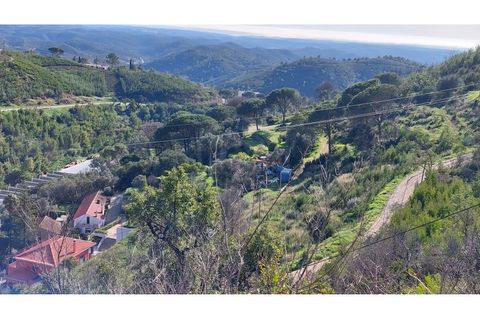 Helårsgrund i Monchique, Faro, Monchique - € 4.900.000 | Ref: 01/T/02629 - foto 3
