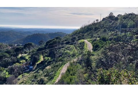 Helårsgrund i Monchique, Faro, Monchique - € 4.900.000 | Ref: 01/T/02629 - foto 2