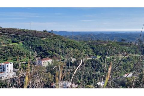 Helårsgrund i Monchique, Faro, Monchique - € 4.900.000 | Ref: 01/T/02629 - foto 5