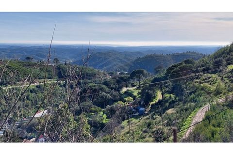 Helårsgrund i Monchique, Faro, Monchique - € 4.900.000 | Ref: 01/T/02629 - foto 6