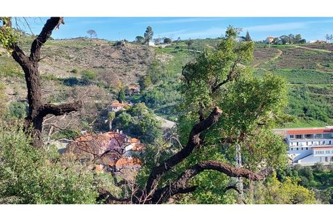 Helårsgrund i Monchique, Faro, Monchique - € 4.900.000 | Ref: 01/T/02629 - foto 8
