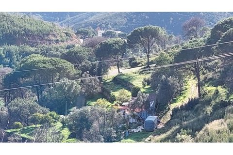 Helårsgrund i Monchique, Faro, Monchique - € 4.900.000 | Ref: 01/T/02629 - foto 9