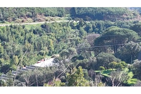Helårsgrund i Monchique, Faro, Monchique - € 4.900.000 | Ref: 01/T/02629 - foto 10