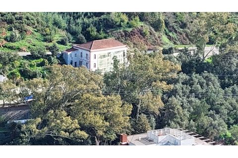 Helårsgrund i Monchique, Faro, Monchique - € 4.900.000 | Ref: 01/T/02629 - foto 11