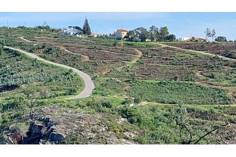 Helårsgrund i Monchique, Faro, Monchique - € 4.900.000 | Ref: 01/T/02629 - foto 13