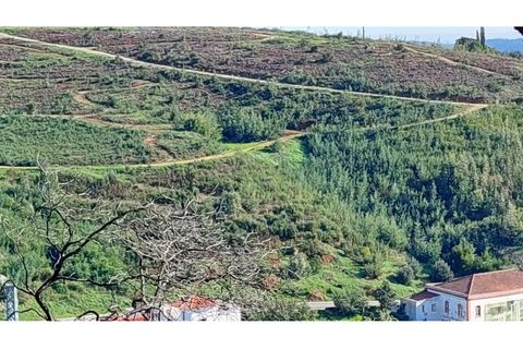 Helårsgrund i Monchique, Faro, Monchique - € 4.900.000 | Ref: 01/T/02629 - foto 14