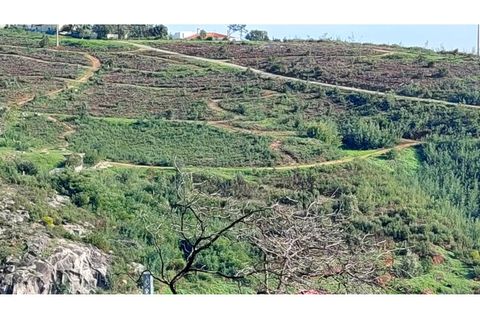 Helårsgrund i Monchique, Faro, Monchique - € 4.900.000 | Ref: 01/T/02629 - foto 15