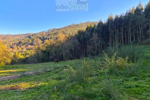 Helårsgrund i Gondufe, Viana do Castelo, Gondufe - € 75.000 | Ref: TER_1763 - foto 4