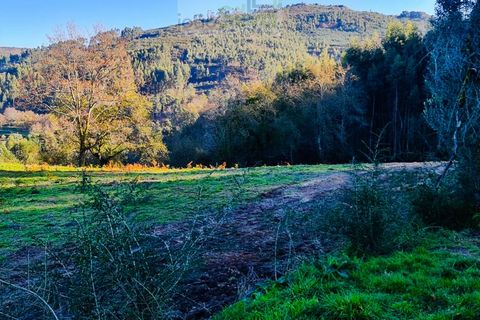 Helårsgrund i Gondufe, Viana do Castelo, Gondufe - € 75.000 | Ref: TER_1763 - foto 5