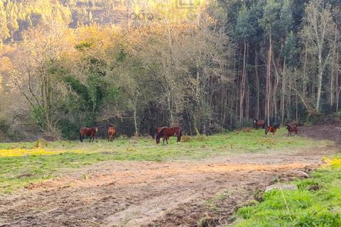 Helårsgrund i Gondufe, Viana do Castelo, Gondufe - € 75.000 | Ref: TER_1763 - foto 7