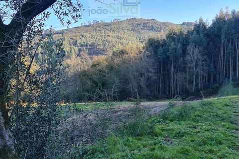 Helårsgrund i Gondufe, Viana do Castelo, Gondufe - € 75.000 | Ref: TER_1763 - foto 8