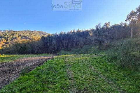 Helårsgrund i Gondufe, Viana do Castelo, Gondufe - € 75.000 | Ref: TER_1763 - foto 10
