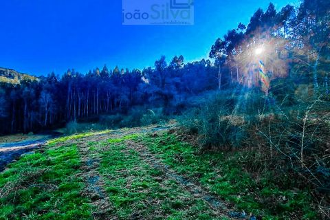 Helårsgrund i Gondufe, Viana do Castelo, Gondufe - € 75.000 | Ref: TER_1763 - foto 11