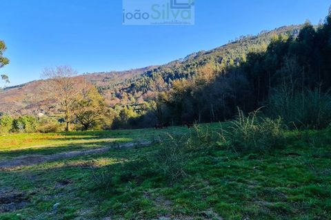 Helårsgrund i Gondufe, Viana do Castelo, Gondufe - € 75.000 | Ref: TER_1763 - foto 12