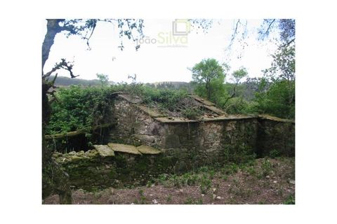 Ruinere i Ponte de Lima, Viana do Castelo, Ponte de Lima - € 45.000 | Ref: RUÏ_1690 - foto 2