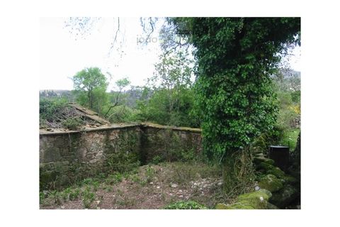 Ruinere i Ponte de Lima, Viana do Castelo, Ponte de Lima - € 45.000 | Ref: RUÏ_1690 - foto 3
